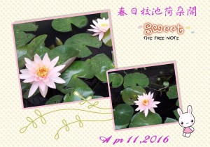 2016-0411-flower